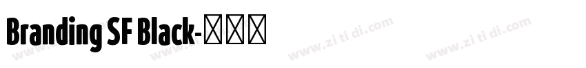 Branding SF Black字体转换